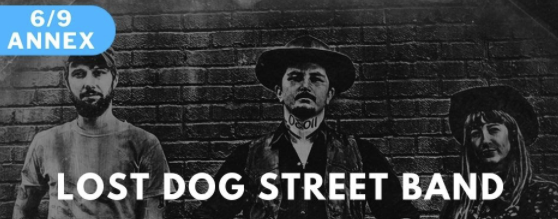 Lost dog street band, moonshiner