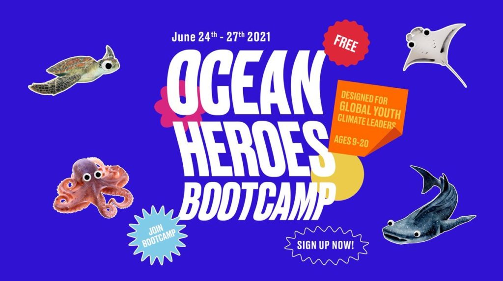 ocean-heroes-bootcamp-2021-indyhub